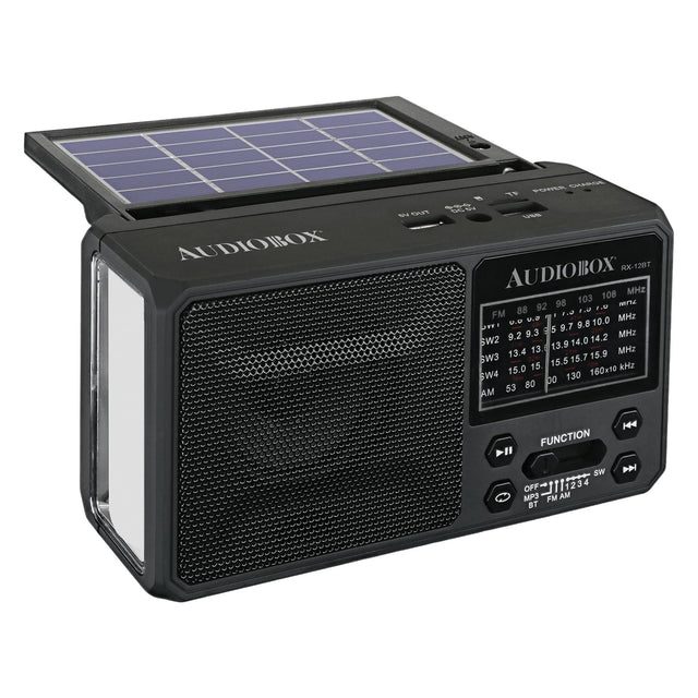 AUDIOBOX RX-120T

FM: 88 92 98 103 108 MHz
SW2: 9.2 9.3 9.7 14.2 MHz
SW3: 13.9 14.0 15.7 15.9 MHz
SW4: 15.0 160x10 00 130 53 80 AM

FUNCTION: OFF MP3 FM BT 1234

SW: 1 2 3 4