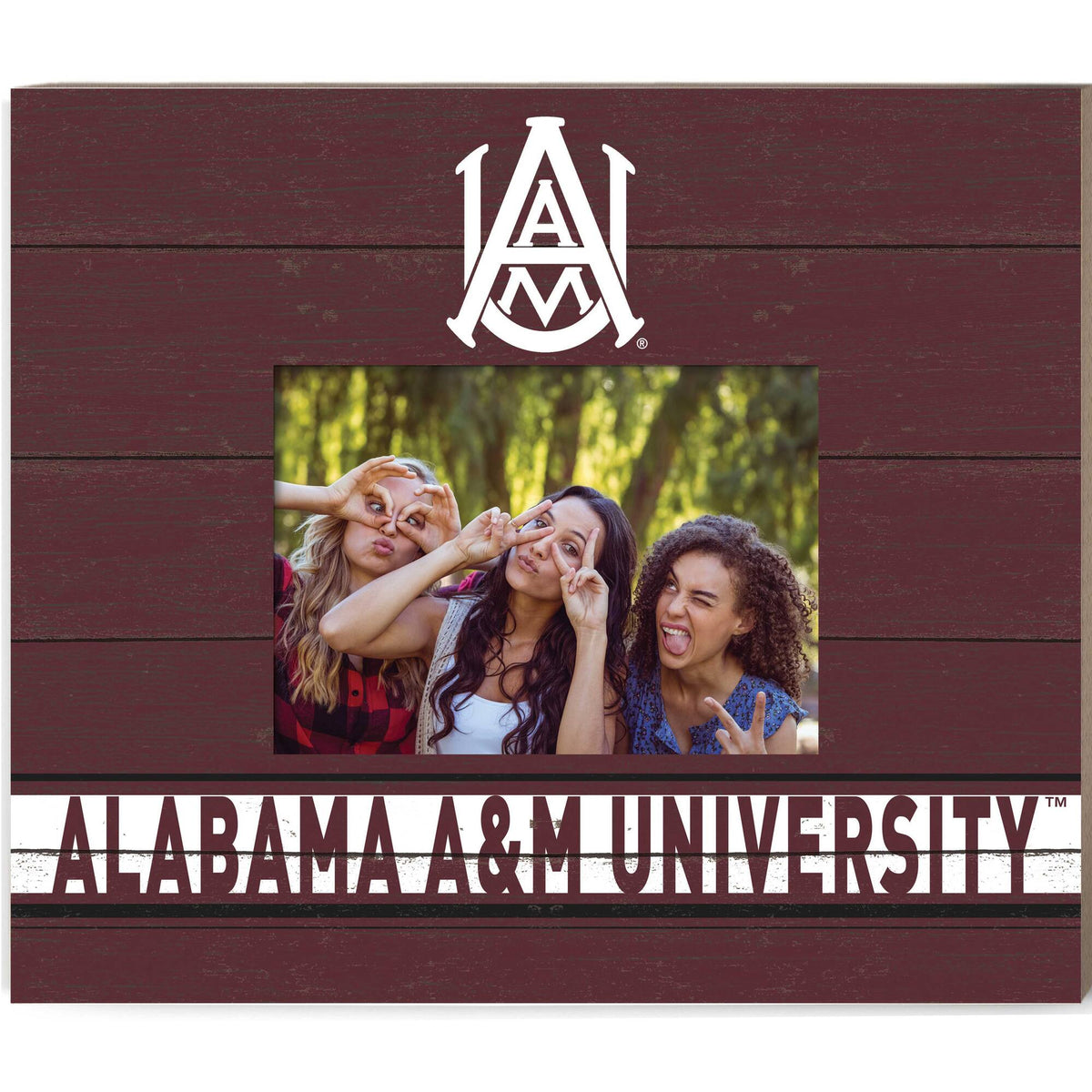 Jardine - Alabama A&M Bulldogs 11'' x 13'' Team Spirit Scholastic Picture Frame - Maroon