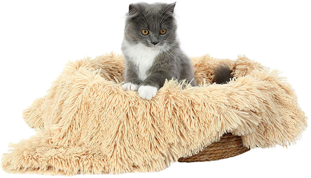 Front. Fluffee - Woven Cat Bed with Removable Washable Cushion & Blanket, Cozy Indoor Cat Bed, Warm Round Pet Bed for 0-15kg Cats & Dogs - Beige.