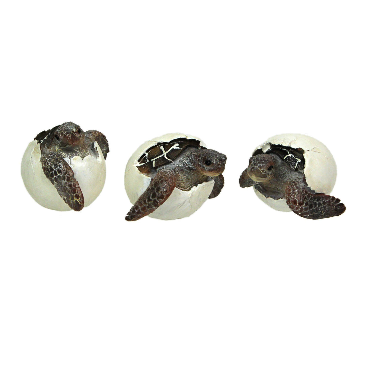 Things2Die4 - Set of 3 Hand-Painted Resin Hatching Sea Turtle Minifigures-2.75 Inches Diameter - Multicolored