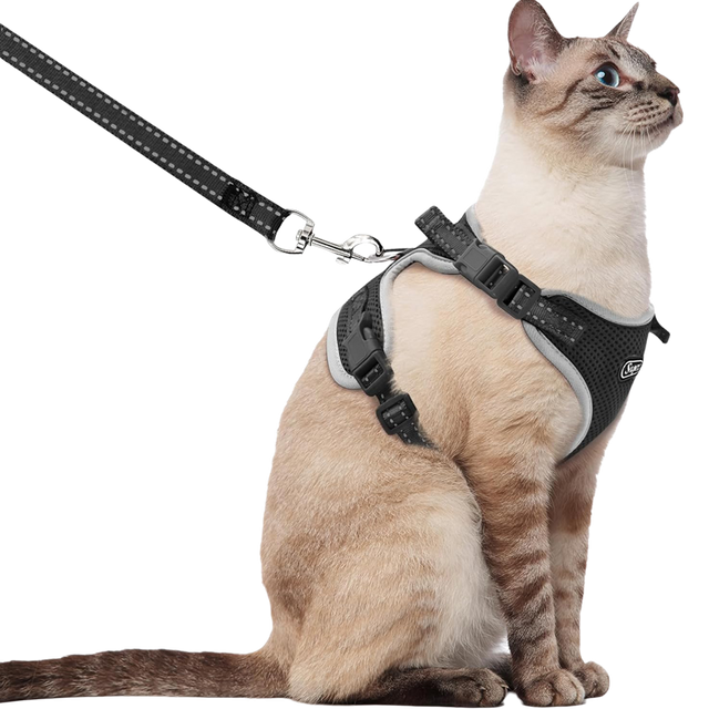 Front. Supet - Cat Harness & Leash - Black.