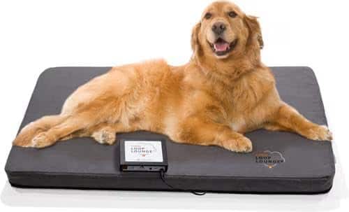 Assisi - LOOP Lounge tPEMF System for Dogs and Cats - Large