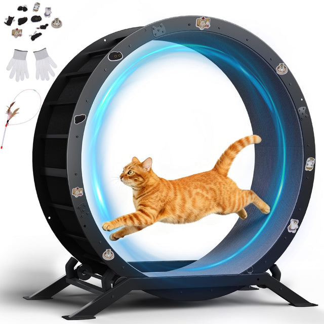 Front. CloudRest Pro - Cat Wheels 40" Diameter Large Cat Exercise Wheel for Indoor Cats Cat Treadmill Ultra-Quiet Scroll Wheel - Gray.