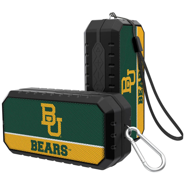 Bears