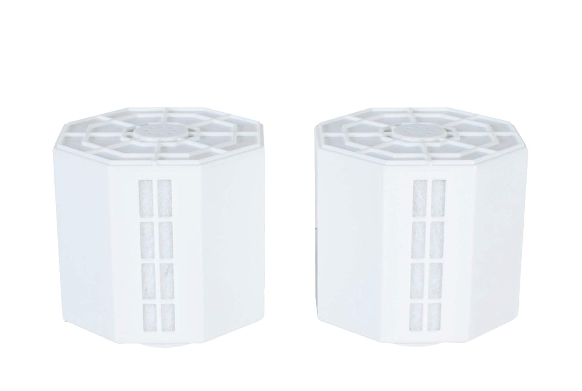 ION Exchange Replacement Filter for SPT SU-4010/SU-4010G Humidifier (Pack of 2)