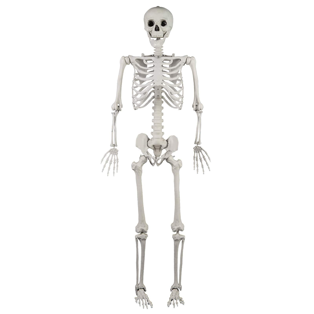 Gymax - 5.4 FT Halloween Skeleton Decoration Life Size Large Skeleton w/ Posable Joints - White