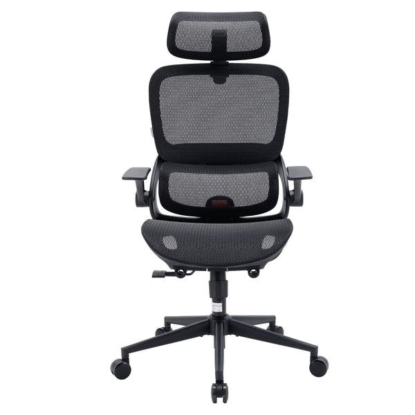 SIHOO - B100 Ergonomic Office Chair, Desk Chair with Zoned Back Support, 2D Wide Headrest, High Back Executive Chair - Black