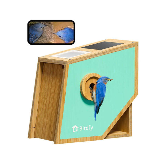 Front. BIRDFY - Smart Bird House with Camera, Solar Powered 1080P FHD Live Stream, Wild Bird Nesting & Hatching - Blue/Wooden.