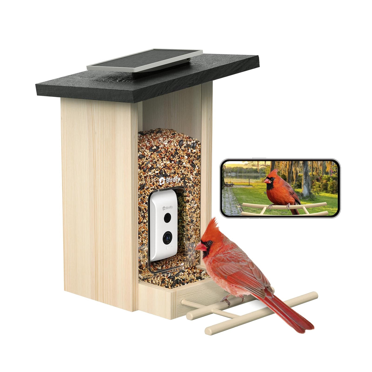 BIRDFY - Smart Bird Feeder with Camera and Solar Panel, 10 Free AI IDs/Day, 1080P HD Live View, Gift for Bird Lovers - Natural Wood Finish & Black
