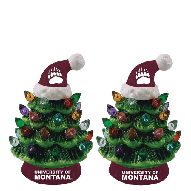 UNIVERSITY OF MONTANA  
UNIVERSITY OF MONTANA