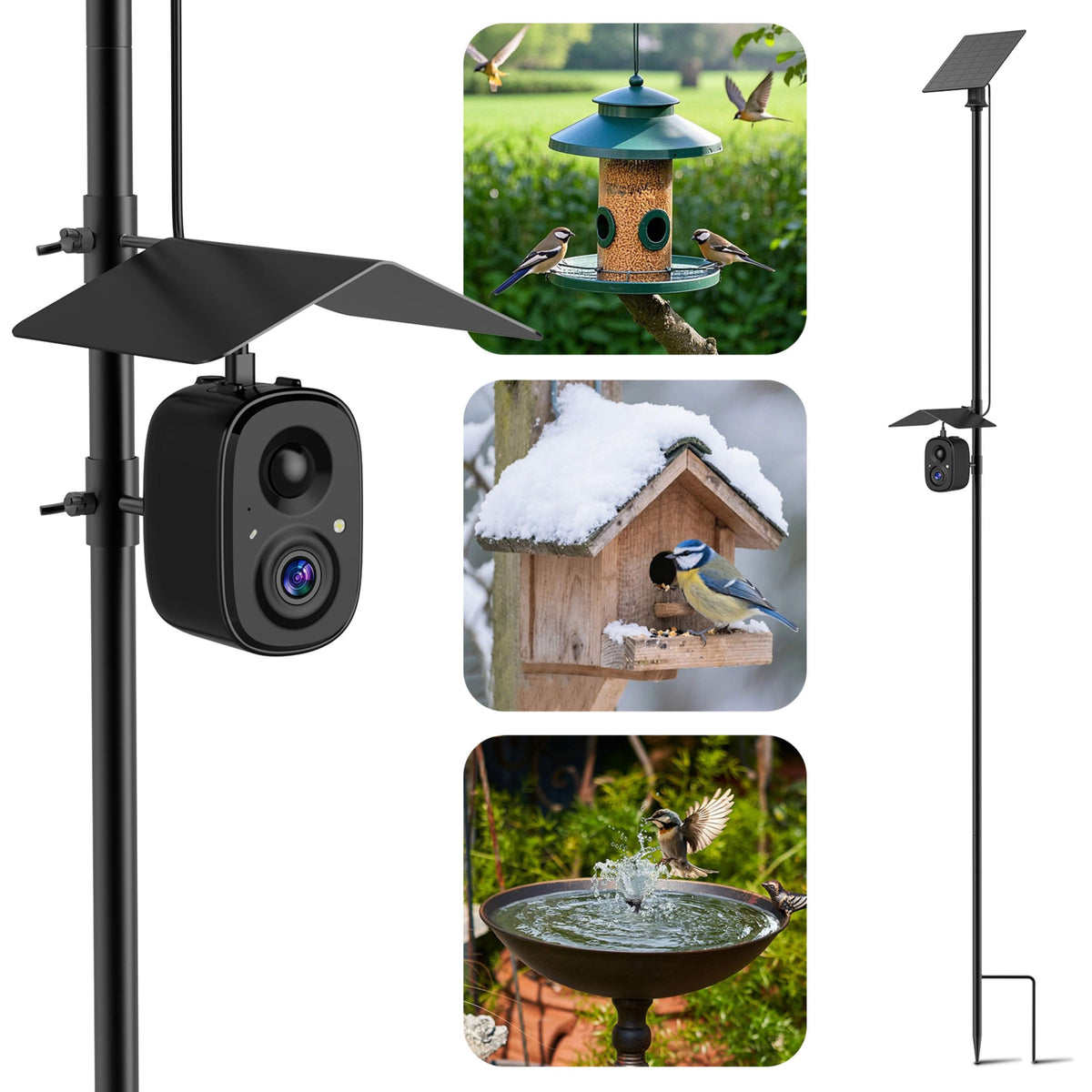 CoolFly - x Richbird - 2.5K HD Smart Bird Camera with AI Recognition, Solar Panel, and Pole Mount - Black