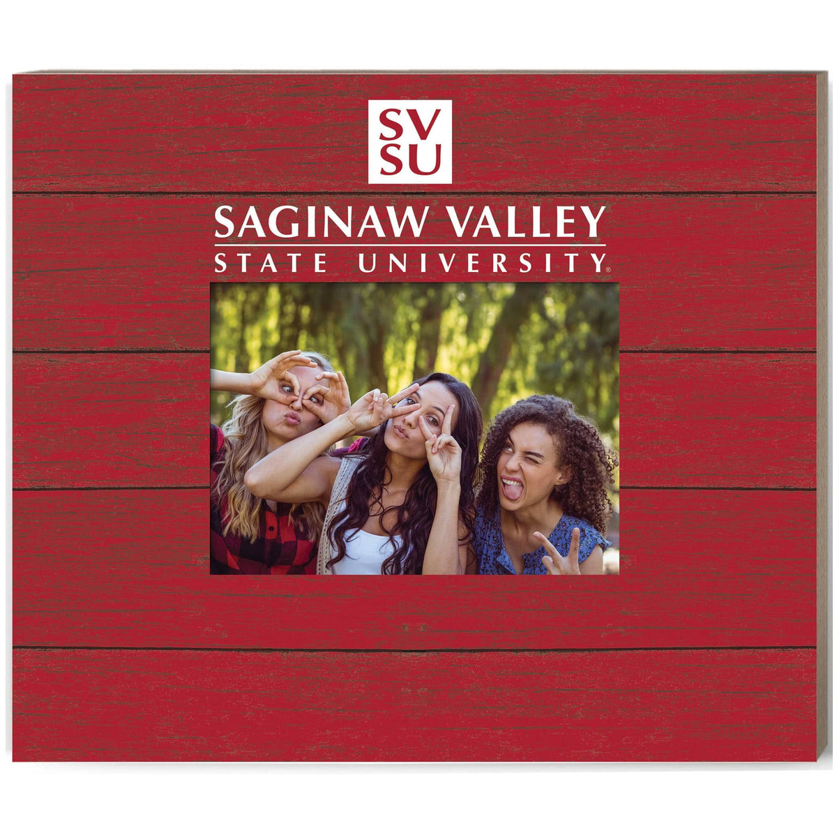 Jardine - Saginaw Valley State Cardinals 11'' x 13'' Team Spirit Scholastic Picture Frame - Red