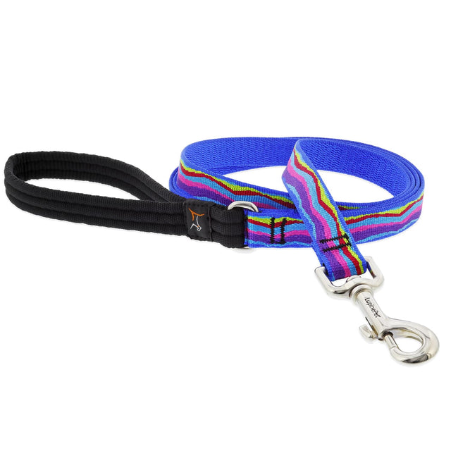 Front. LupinePet - LupinePet Original Designs Multicolored Ripple Creek Nylon Dog Leash - Multicolored.