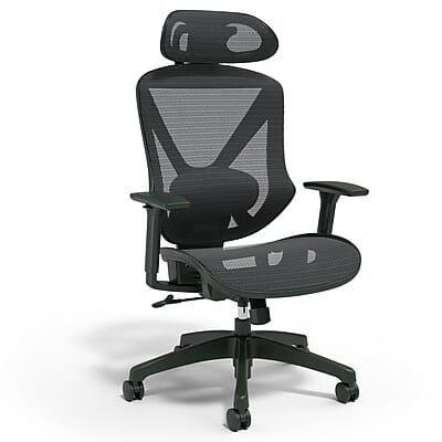 Staples - Staples® Dexley Ergonomic Mesh Swivel Task Chair, (UN56946) - Black