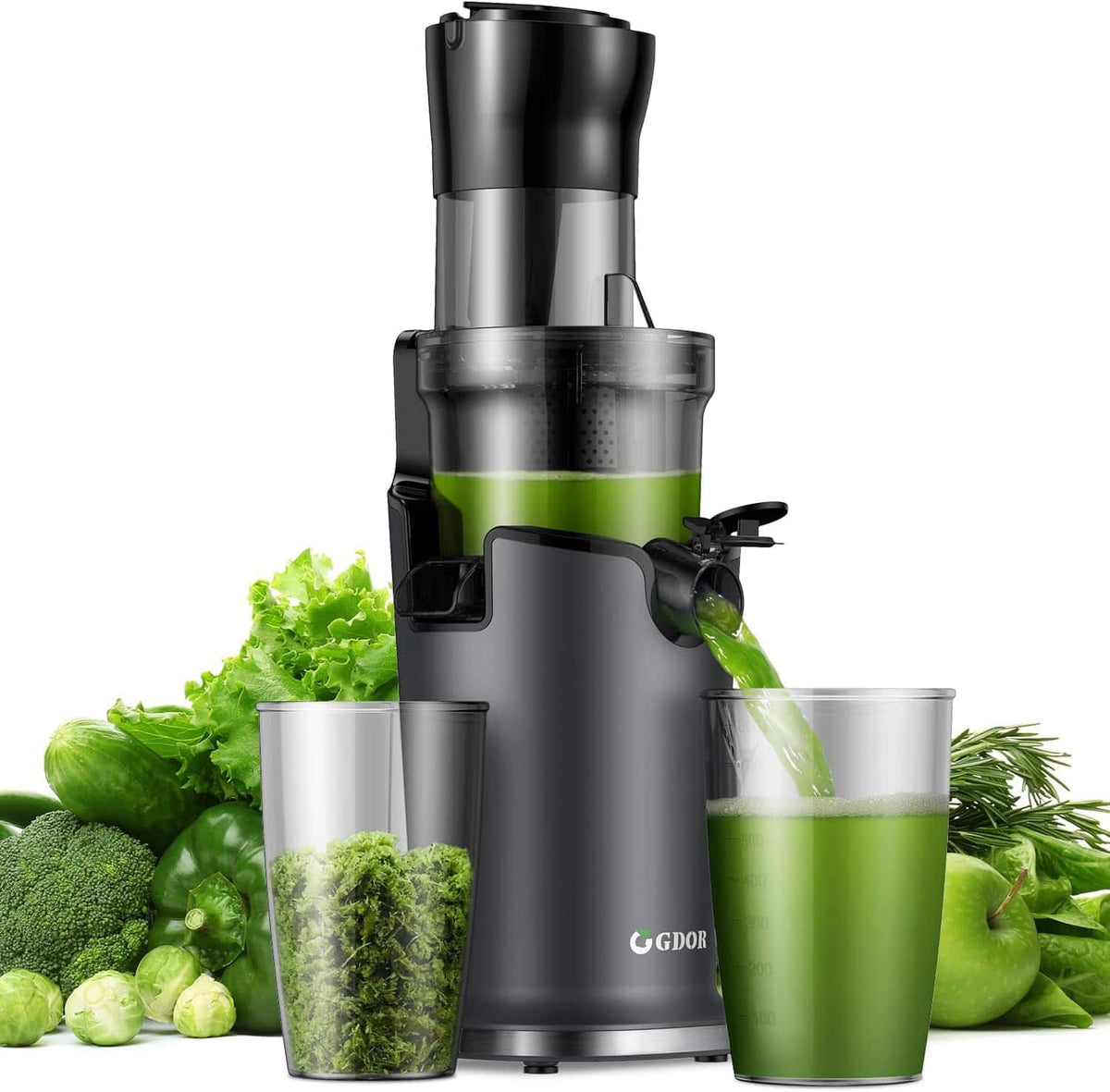 Shardor - Cold Press Juicer Machines - Silver