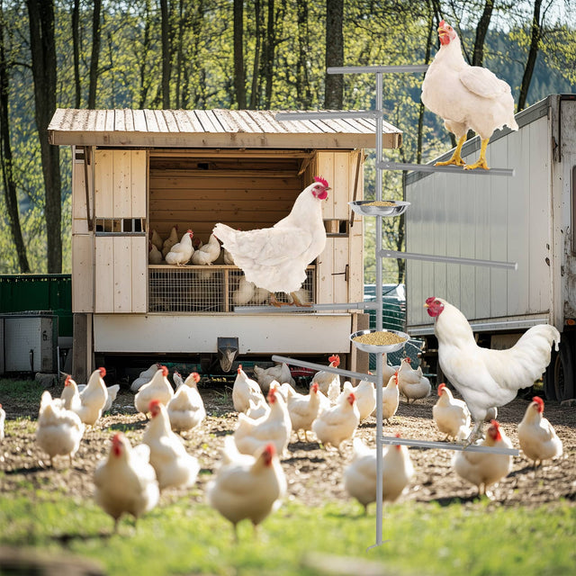 Front. Oumilen - Grey In-ground Chicken Perch Stand with Multi-level Roosting Bars & Stainless Steel Feeder Bowls - White.