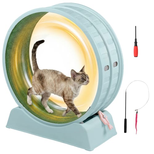 Winado - Cat Exercise Wheel, 31-inch Cat Treadmill with Detachable Carpet, Safety Lock, Teaser Running Silent for Indoor Playing - Light Blue