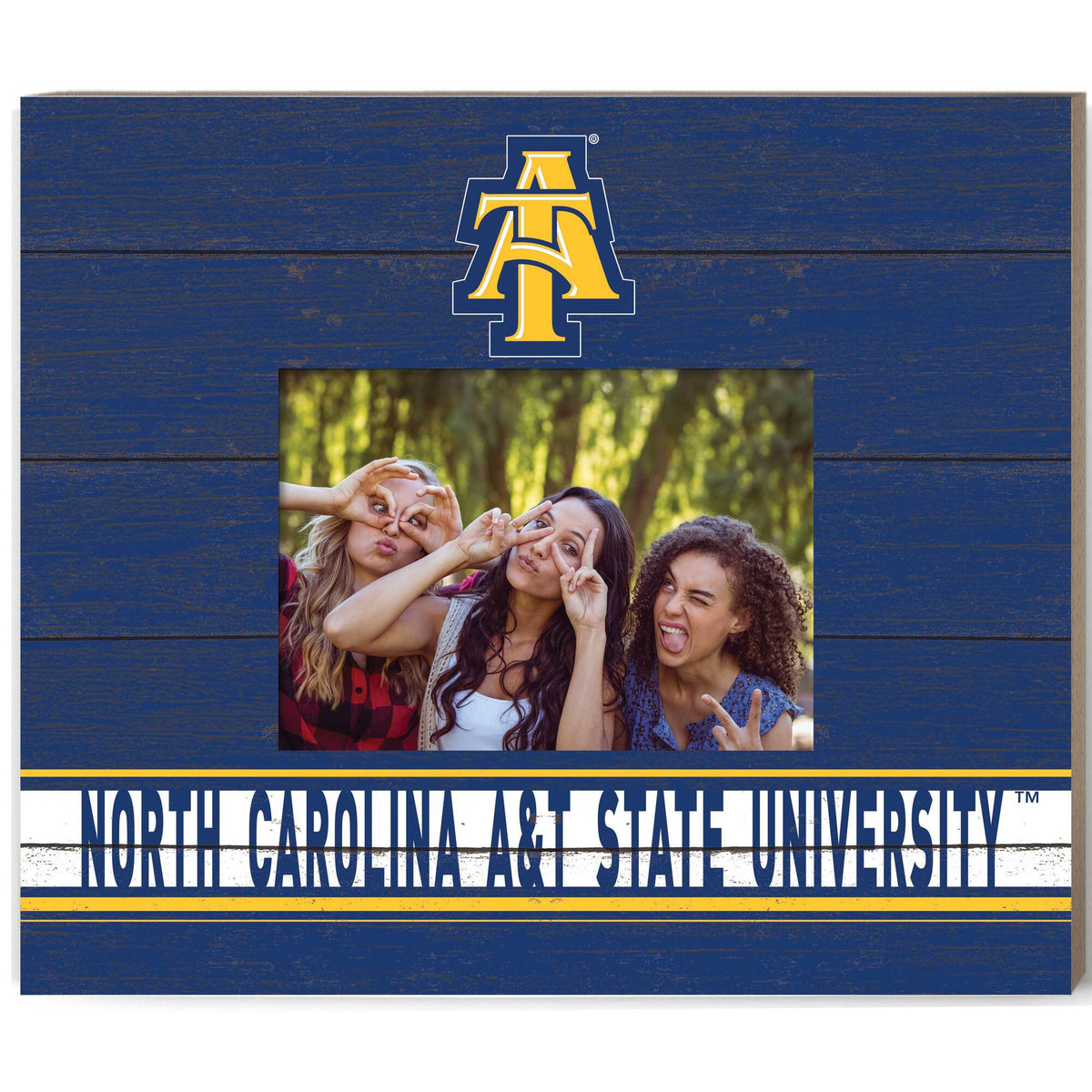 Jardine - North Carolina A&T Aggies 11'' x 13'' Team Spirit Picture Frame - Blue