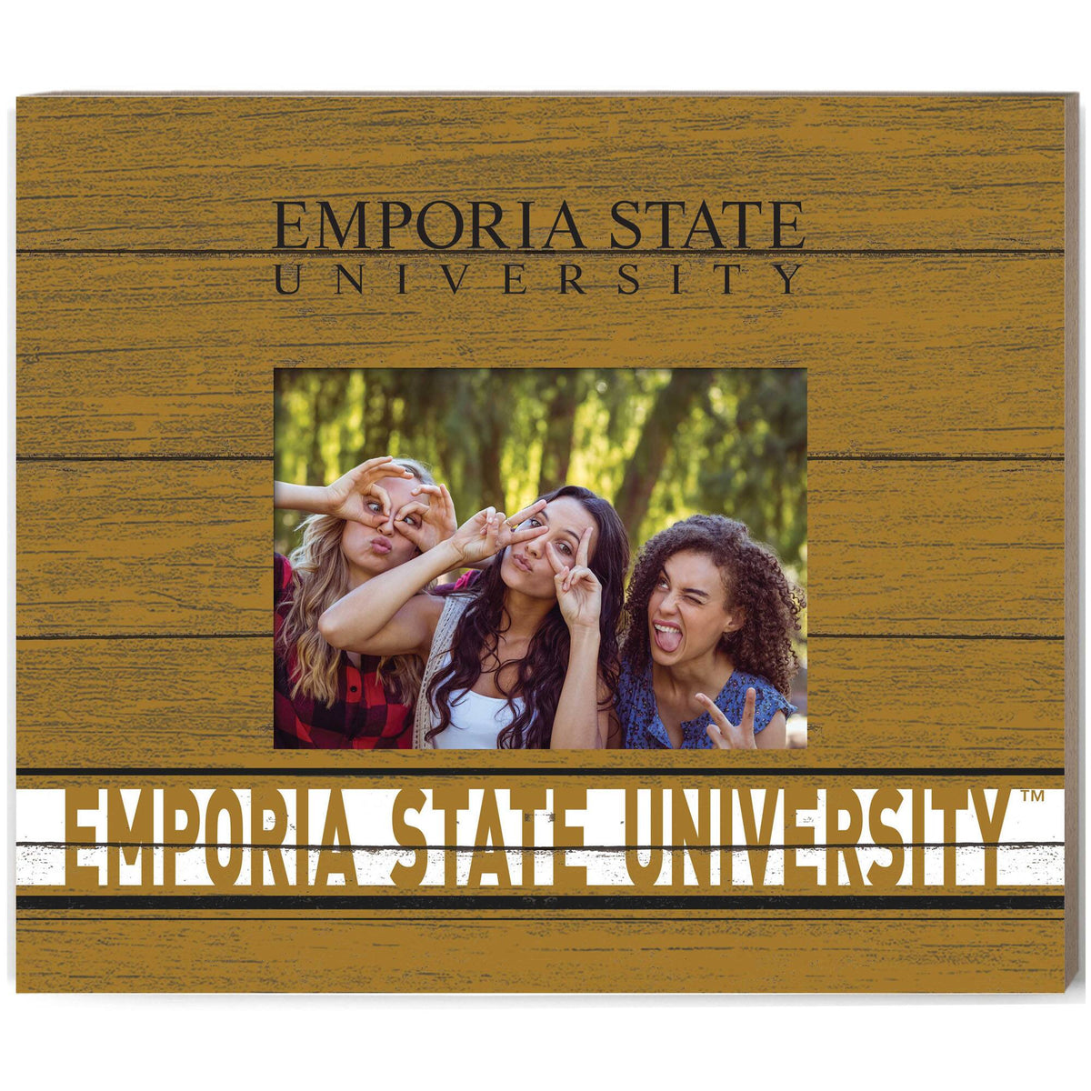 Jardine - Emporia State Hornets 11'' x 13'' Team Spirit Scholastic Picture Frame - Gold