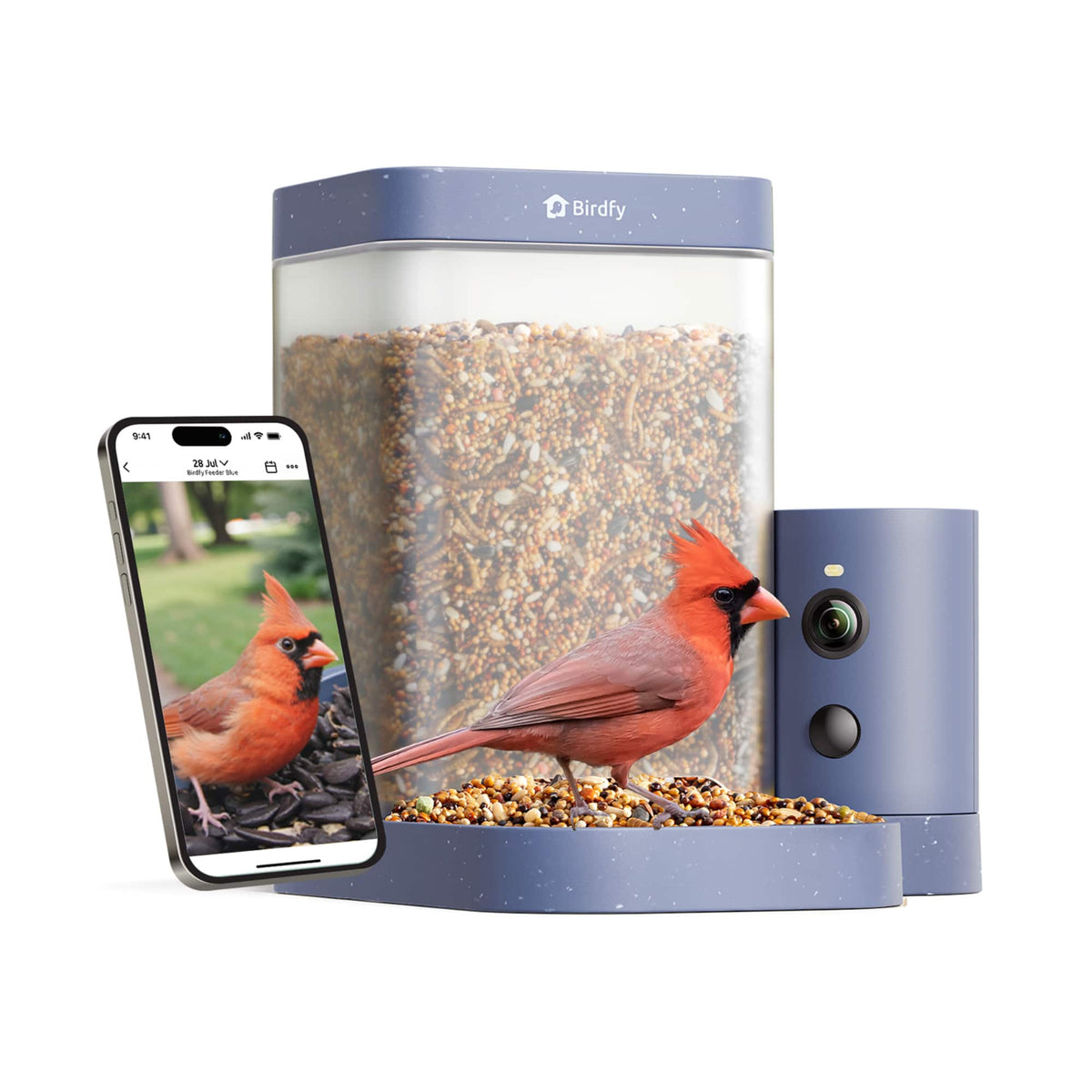 BIRDFY - Smart Bird Feeder Rookie, 1080P HD, 60FPS High-Frame Video for Slow-Motion, 10 Free AI IDs/Day, Night Vision - Blue