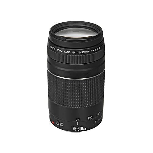 EF 75-300mm f/4-5.6 III Telephoto Zoom Lens for Canon SLR Cameras - Black