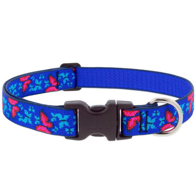 Front. LupinePet - LupinePet Blue/Pink Social Butterfly Nylon Dog Adjustable Collar Medium - Multicolored.