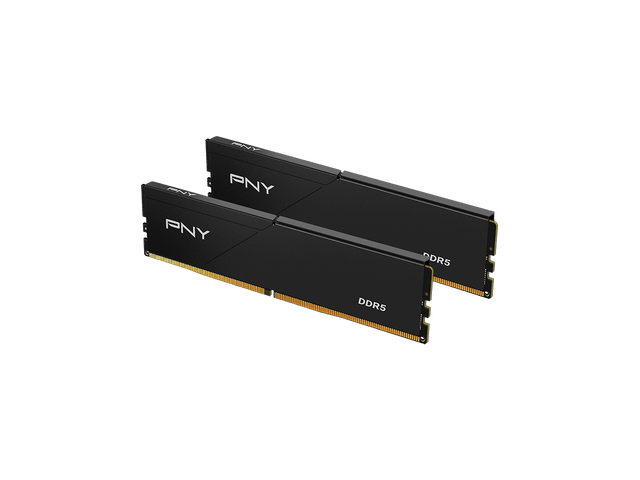 AND  
PNY  
PNY  
DDR5