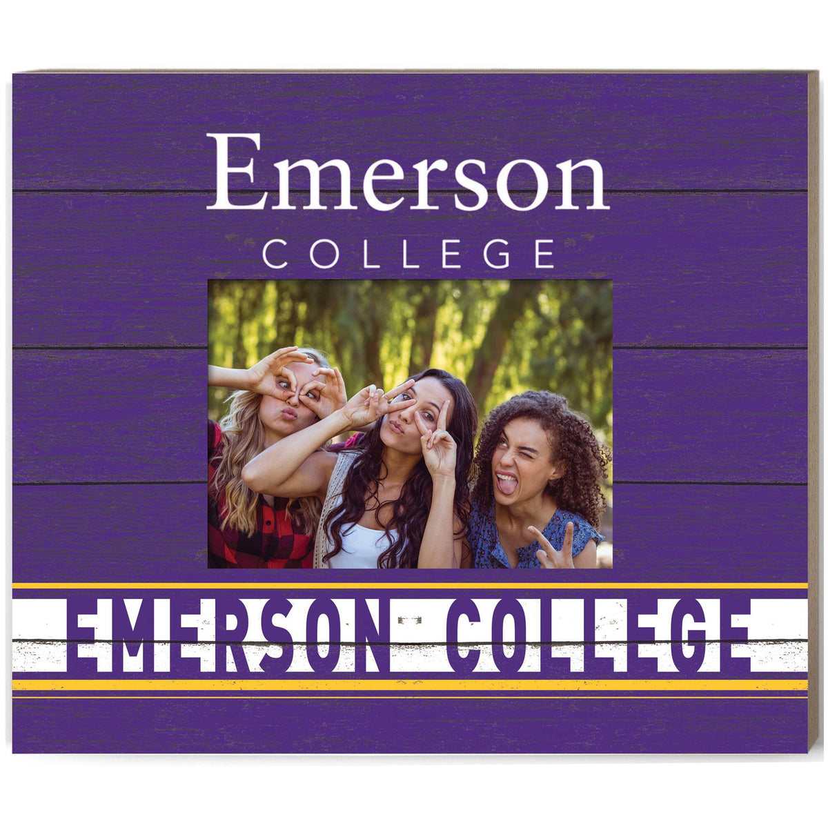Jardine - Emerson College Lions 11'' x 13'' Team Spirit Scholastic Picture Frame - Purple