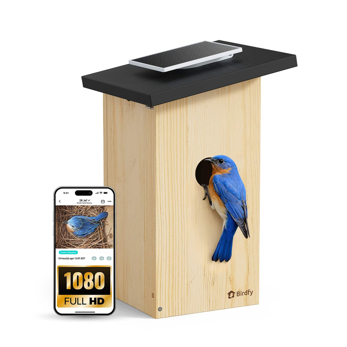 BIRDFY - Smart Bird House Camera Ebony, AI Bird ID Lifetime Free, Solar Panel, Gift for Bird Lovers&Outdoor Birdwatching - Natural Wood Finish & Black