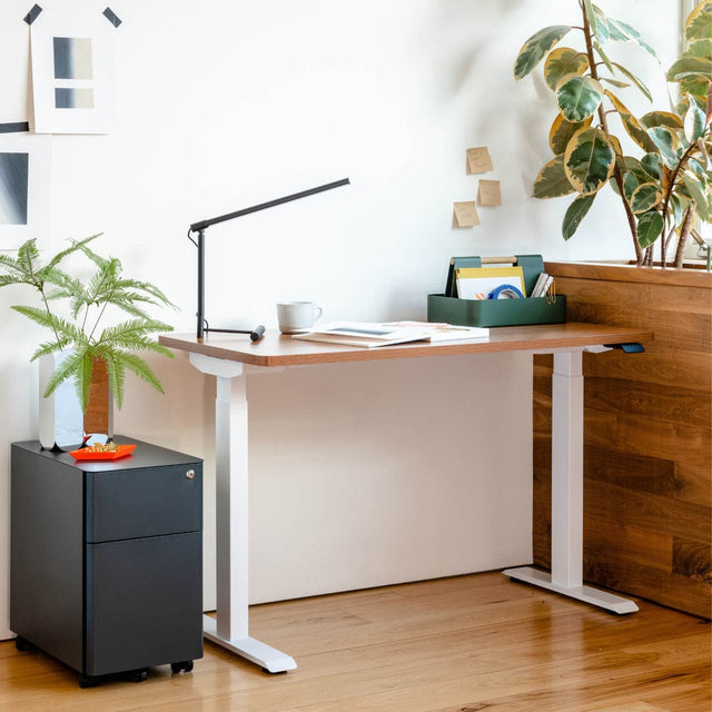 Front. Branch Furniture - Duo Standing Desk 48" – Adjustable Desk with OLED Control Panel, Frameless Design & Compact Footprint - Walnut / White.