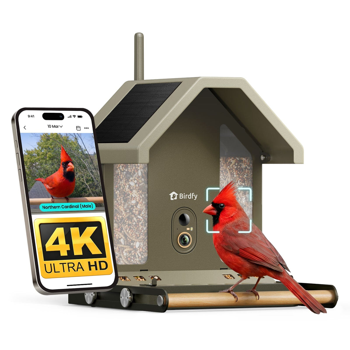 BIRDFY - Metal 2 4K Smart Bird Feeder with Camera, AI Lifetime Free, Dual-Band Wi-Fi, Night Vision, Solar Ready, Weatherproof - Moss Green