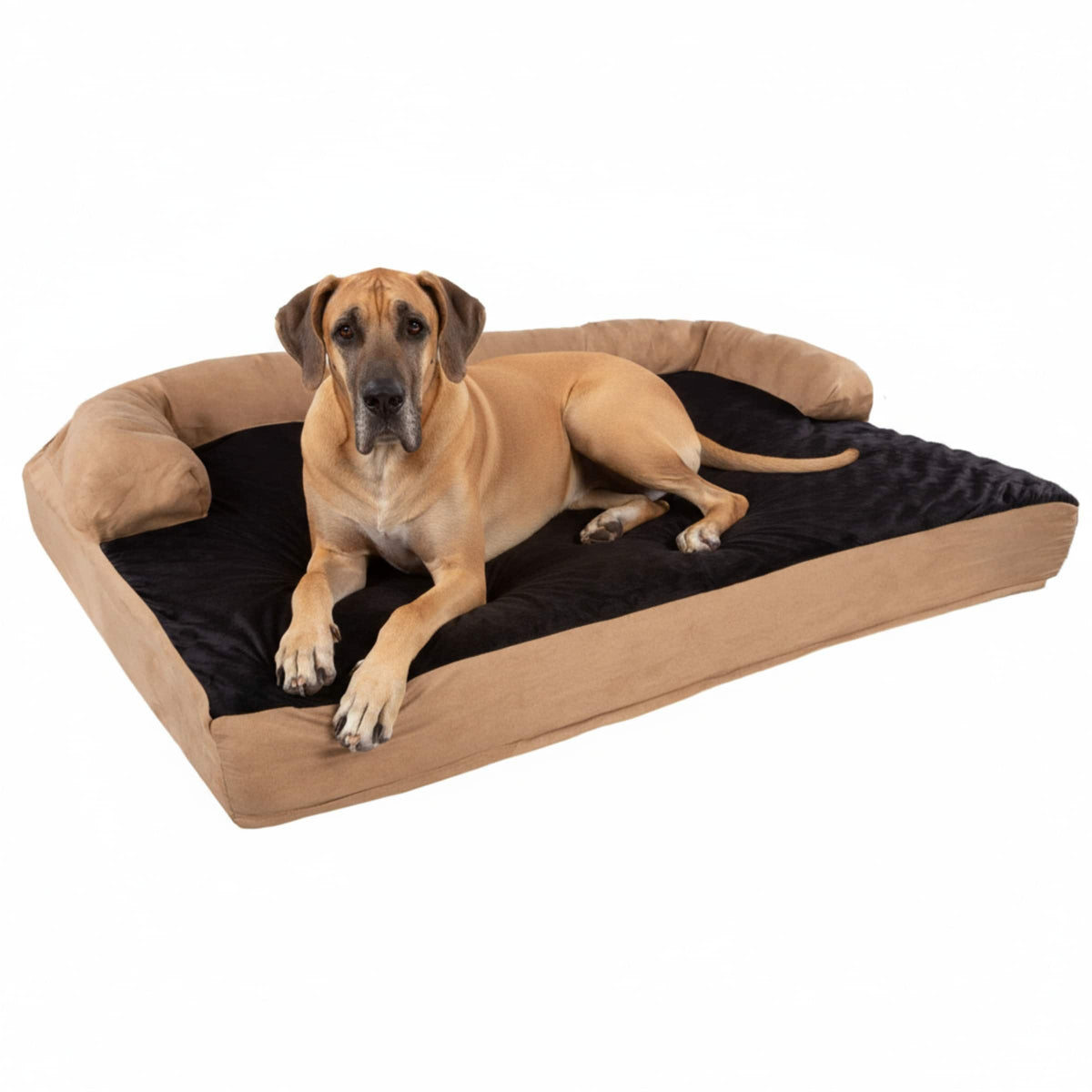 PetMaker - Jumbo Dog Bed 51x35.5 Pet Bed 3-Layer Orthopedic Dog Sofa with Cooling Gel, Memory Foam and Neck Bolster - Tan/Black