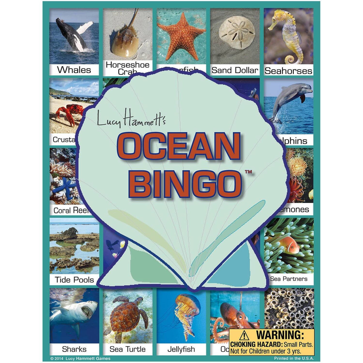 Lucy Hammett Games - Lucy Hammett Ocean Bingo Game Marine Life Fun for Kids and Classrooms