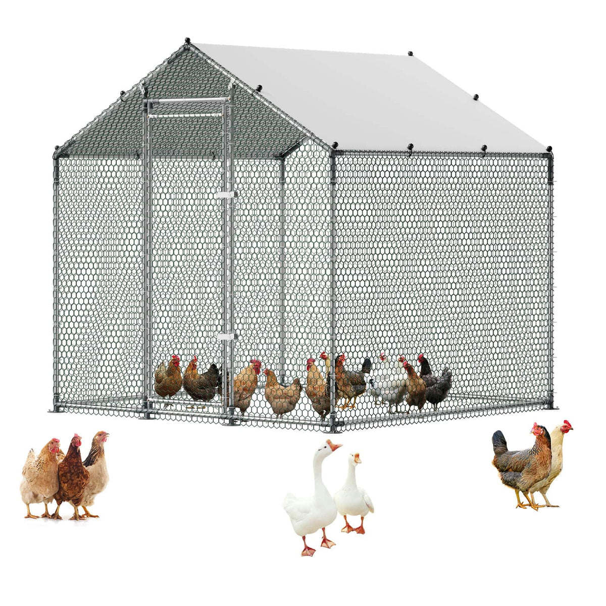 VEVOR - Large Metal Chicken Coop 6.6x6.6x6.6 ft Walk-in Chicken Run House, Spire Roof Hen House Enclosure with Cover - Silver